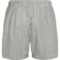 Briggs Swimshorts